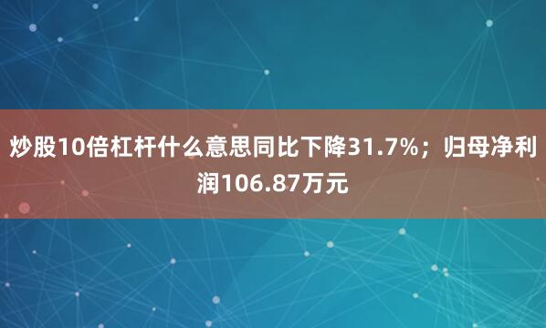 炒股10倍杠杆什么意思同比下降31.7%；归母净利润106.87万元